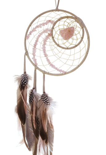Dream Catcher 6