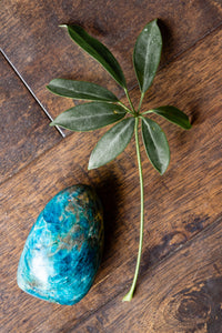 Apatite Freeform | Starsoul Metaphysics