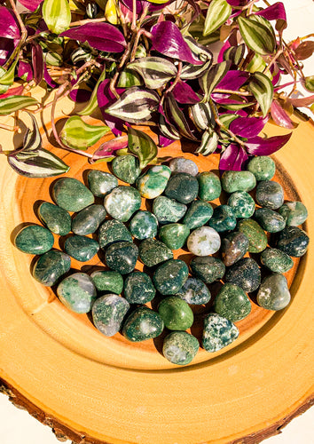 Green Moss Agate -  Star Soul Metaphysics Caffe
