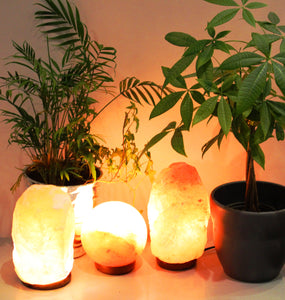 Himalayan Salt Lamp  8" high -  Star Soul Metaphysics Caffe