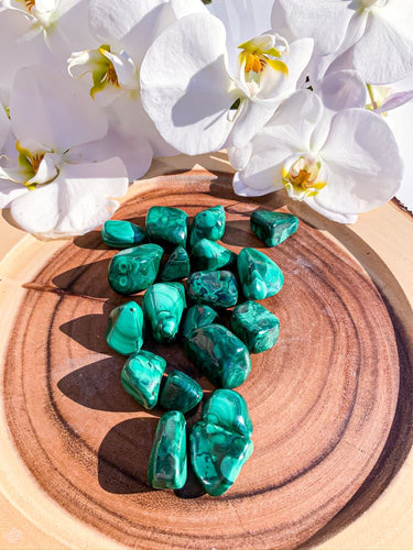 Malachite | Star Soul Metaphysics