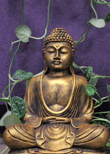 Meditating Buddha 9” | Star Soul Metaphysics