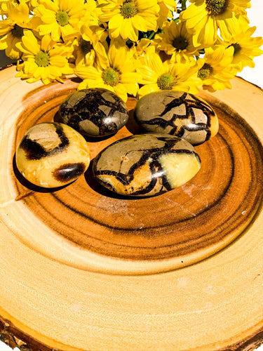 Septarian Pebble - Star Soul Metaphysics