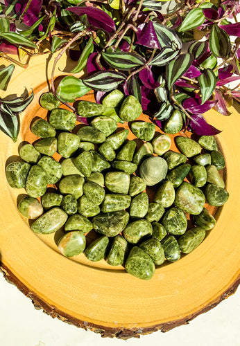 Serpentine -  Star Soul Metaphysics Caffe