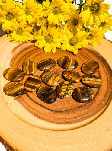 Tiger’s Eye Palm Stone | Star Soul Metaphysics