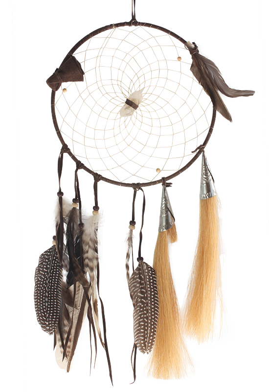 Vision Seeker Dream Catcher 9