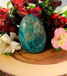 Apatite Freeform | Starsoul Metaphysics