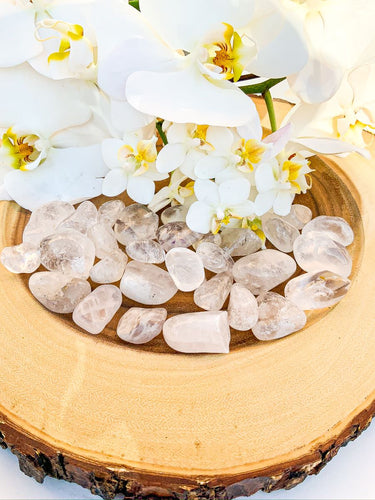 Quartz Clear - Star Soul Metaphysics Caffe