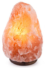 Load image into Gallery viewer, Himalayan Salt Lamp  8&quot; high -  Star Soul Metaphysics Caffe