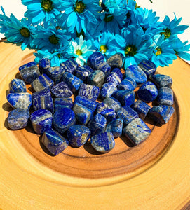 Lapis Lazuli Tumbled Stone | Star Soul Metaphysics