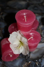 Load image into Gallery viewer, Votive Herbal Candles 1.75&quot; x 2&quot; -  Star Soul Metaphysics Caffe