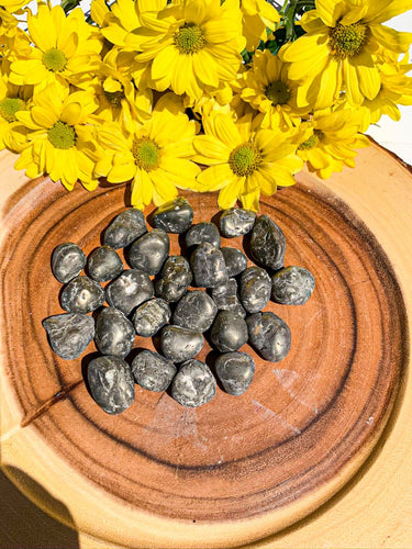 Pyrite -  Star Soul Metaphysics Caffe