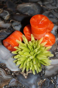 Votive Herbal Candles 1.75" x 2" -  Star Soul Metaphysics Caffe