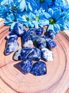 Sodalite -  Star Soul Metaphysics Caffe