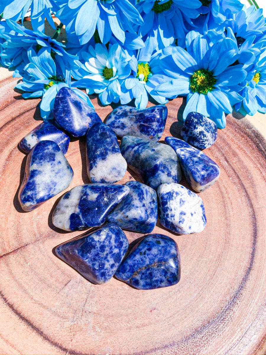 Sodalite -  Star Soul Metaphysics Caffe